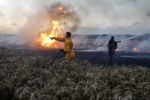  الطائرات الورقية الفلسطينية تشعل عشرات الحرائق 