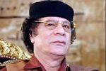 مجلة أمريكية: شبح القذافي يطارد ليبيا