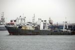 فقدان العشرات بغرق سفينة كورية جنوبية