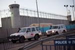 الأسرى المرضى في سجن 'الرملة' يشرعون بالإضراب عن الطعام 