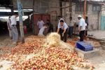 بلدية غزة تتلف (14) طناً من الأغذية الفاسدة