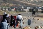 ثماني اصابات في مواجهات مع الاحتلال في قصرة 