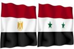 نائب رئيس الحكومة المصرية: التوجُّس من السوريين لا يليق بعروبة مصر