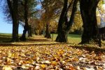 فصل الخريف يبدأ الجمعة ويصاحبه انخفاض درجات الحرارة