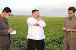  'اقتلوهم'.. أوامر مخيفة في كوريا الشمالية لمنع انتشار كورونا 