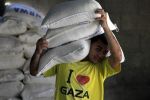  قطاع غزة يبحث عن الأمن الغذائي
