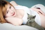 داء القطط وعلاقته بالحمل عند النساء