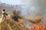 مستوطنون يشعلون النار في حقول زراعية جنوب نابلس 