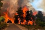 حريق ضخم ينشب في جبال القدس المحتلة