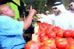 الأردن يصدر 900 طن من الخضروات والفواكه يوميا إلى الخليج 