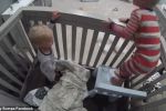 فيديو طريف لطفل يخطط لإخراج شقيقه من سريره ..حاز على 15 مليون مشاهده