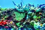 مقبرة تحت المياه قبالة سواحل فلوريدا