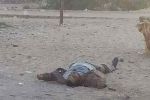 مصر.. هجوم انتحاري بالعريش ومقتل 6 عناصر شرطة