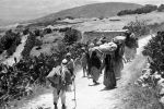 تقرير احصائي:66 % من الفلسطينيين الذين كانوا يقيمون في فلسطين التاريخية عام 1948 تم تهجيرهم