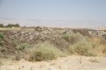 كرزم يحذر: كميات ضخمة من النفايات العضوية الإسرائيلية تُلْقَى في الأغوار، وتعرّض أطفال المنطقة لجفاف فجائي ومشاكل تنفسية