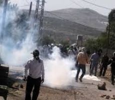 إصابة مواطنين بجروح والعشرات بالاختناق الشديد في مسيرة بلعين 
