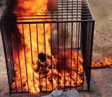 المرجعيات الشرعية لداعش افتت بحرق الكساسبة جائعا