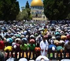 بمشاركة مُصلين من غزة: آلاف المواطنين يؤدون الجمعة برحاب المسجد الأقصى 