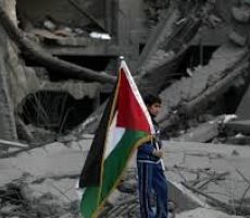غزةُ تغتسلُ بدمائها وترثُ الأرض/دكتور جمال سلسع