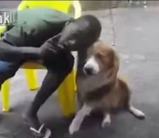 شاهد: كلب يعض شاب حاول التقاط صورة سيلفي معه