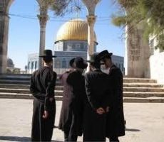 متطرفون يهود يدنسون حرم المسجد الأقصى بحراسة شرطة الاحتلال