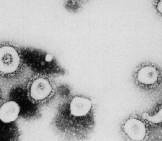  دراسة جديدة تؤكد العثور على فيروس كورونا في 'السائل المنوي' 