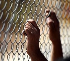  الاحتلال يحرم أسرى في سجن مجدو من الزيارة
