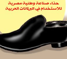 كرتون من شلا 'حذاء صناعة وطنية مصرية للآستخدام في البرلمانات العربية'