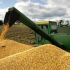 بوتين: أتعهد بتزويد الأسواق العالمية بأكثر من 50 مليون طن من الحبوب