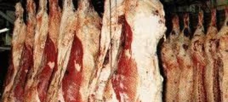طولكرم: ضبط 250 كغم من اللحم البقري غير الصالح للاستخدام البشري 