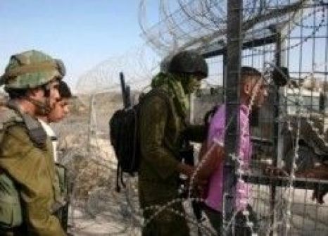 الاحتلال يعتقل مواطنين على حدود غزة