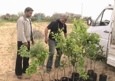 الاتحاد الزراعي بغزة ينفذ مشروع تمكين الأسر المحرومة اقتصادياً 