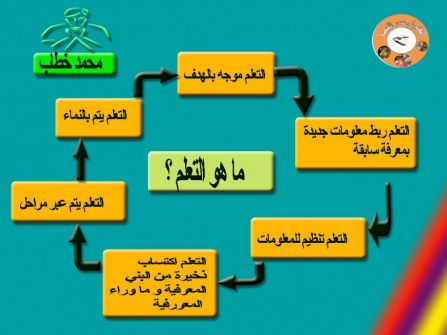 التعليم في مصر .. أحلام مؤجلة/ بقلم محمد خطاب