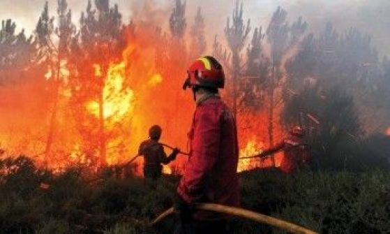 مصرع 19 رجل إطفاء أمريكي بحرائق بأريزونا