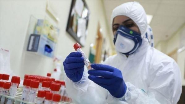 33 إصابة جديدة بفيروس كورونا في الخليل ونابلس
