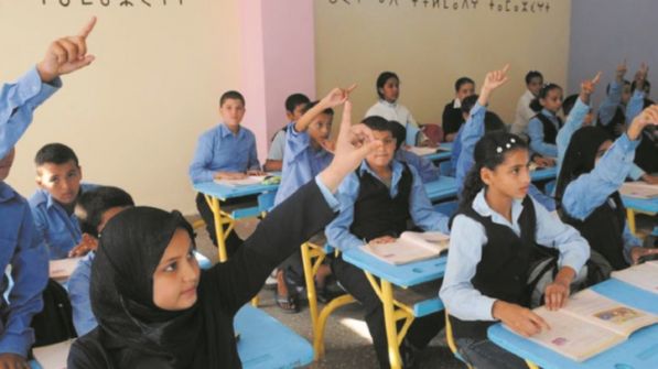 كمال ازنيدر: 'المؤسسة الملكية تعرقل الإصلاح التعليمي بالمغرب'