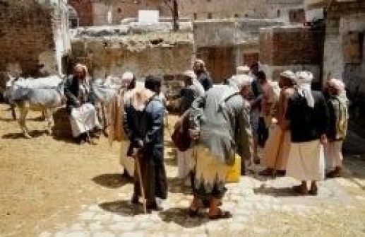 مقتل 8 يمنيين بسبب مقتل 'حمار' 