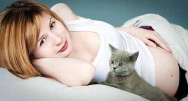 داء القطط وعلاقته بالحمل عند النساء