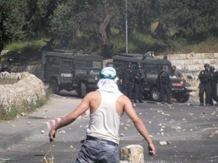  الاحتلال يعتقل شابا في حي الشيخ جراح بالقدس 