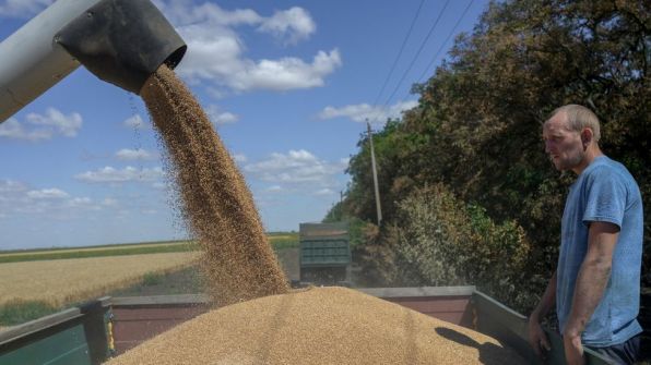 خطة أممية لتأمين إنتاج الحبوب بأوكرانيا في 2023