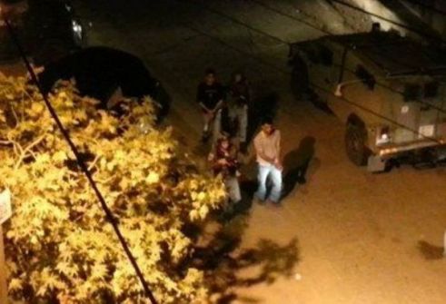 الاحتلال يعتقل 25 مواطنا من الضفة