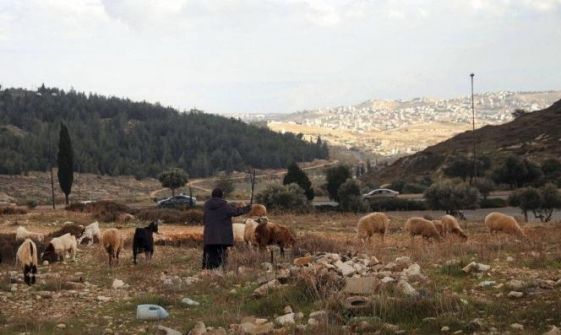الاحتلال يستولي على 147 دونما قرب بيت لحم ويجرف أراضٍ في رفح