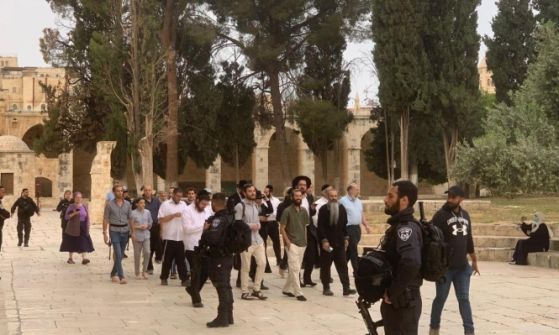 ذكرى النكبة: عشرات المستوطنين يقتحمون الاقصى وجيش الاحتلال يحشد قوات في البلدة القديمة في القدس
