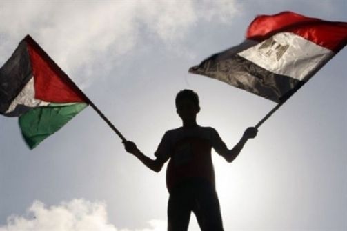 مصر تنفي ترسيم حدودها البحرية مع فلسطين