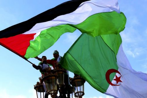 الرئيس الجزائري: فلسطين قضية وطنية للجزائر.. ولن نقبل استعمارها