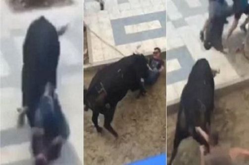  فيديو: لحظة قتل ثور لرجل في مهرجان بإسبانيا