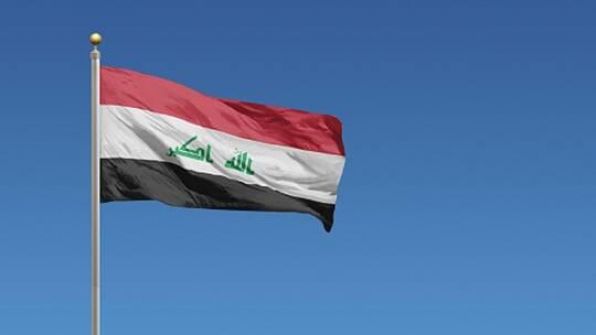 العراق: سعر الخصية يصل إلى 80 ألف دولار