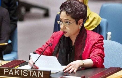 باكستان: قيام دولة فلسطين الضمان الوحيد للسلام