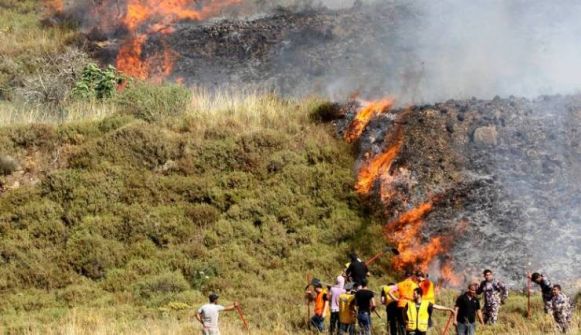  مستوطنون يحرقون مساحات زراعية واسعة جنوب نابلس
