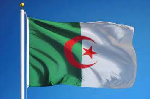 الجزائر: إقرار قانون الإعلام الجديد تعميق لسياسة التضييق التي تنتهجها السلطات ضد حرية الرأي والتعبير والعمل الصحفي